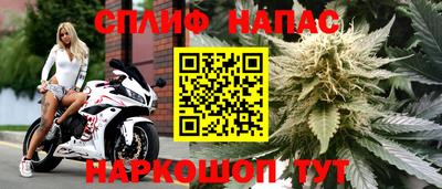 PSILOCYBIN Гусиноозёрск