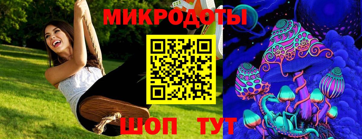 Галлюциногенные грибы Psilocybe Саратов