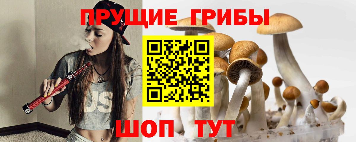 Псилоцибиновые грибы мухоморы  Псилоцибиновые грибы Psilocybine cubensis  Вход с VPN  Саратов 